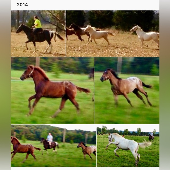 Meet The Posher - Picture 13 of 16